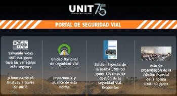 Imagen del portal de Seguridad Vial