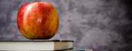 Manzana sobre libros de texto
