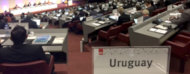 Vista cenital de la asamblea