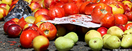 alimentos desperdiciados