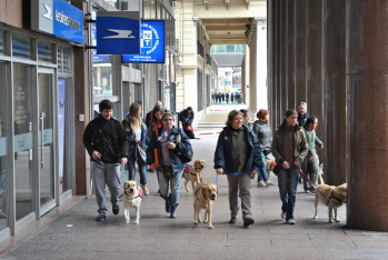 FUNDAPASS se hizo presente con una nutrida delegación de instructores con sus perros