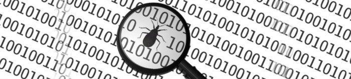 Lupa sobre una bug en el c&oacute;digo fuente