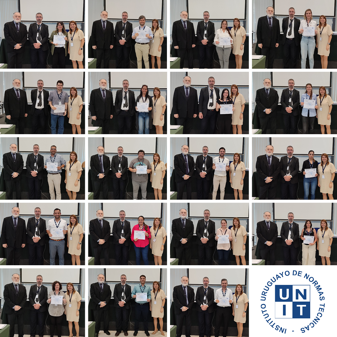 2024-11-08_collage_c11_2024.png