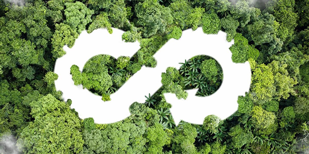 2025-08-04_ec_circular.png